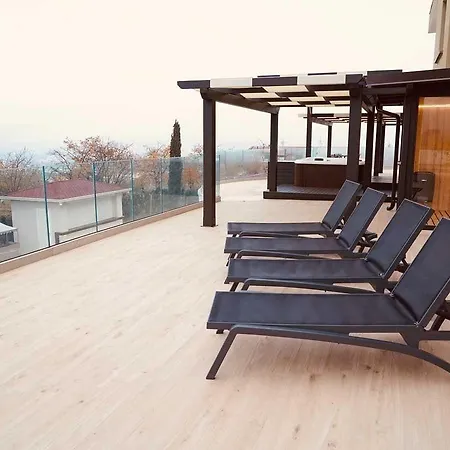 Hotel Lemi